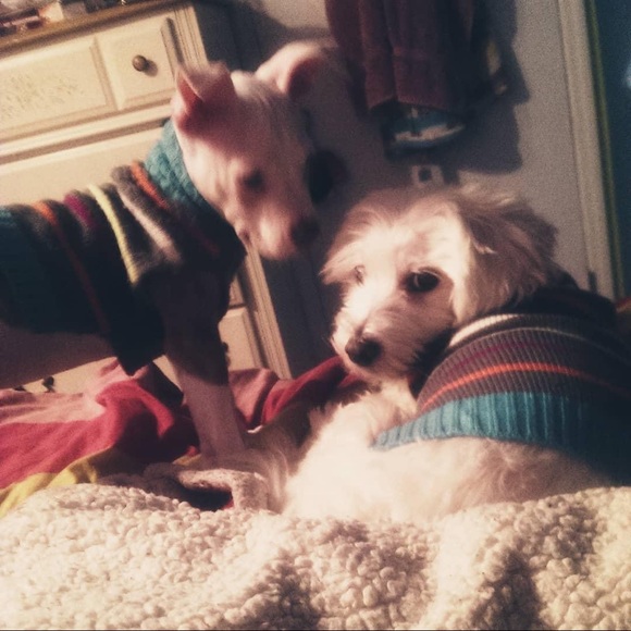 Meet your Posher, Vanessa - Picture 1 of 1